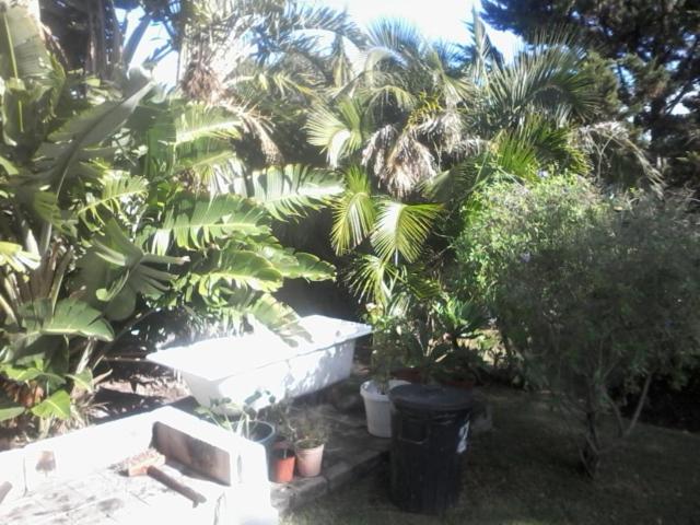 Self Catering Unit 7, Sandbaai Hermanus Buitenkant foto