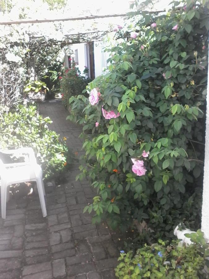 Self Catering Unit 7, Sandbaai Hermanus Buitenkant foto