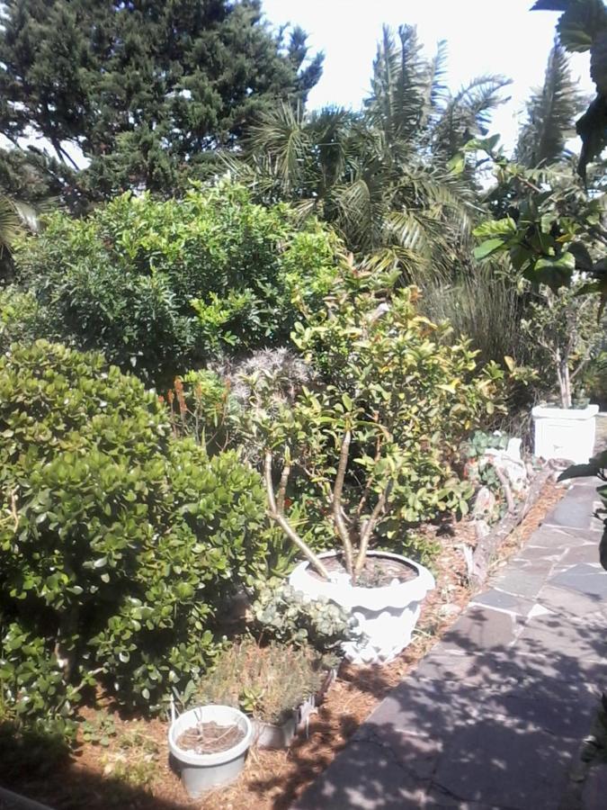 Self Catering Unit 7, Sandbaai Hermanus Buitenkant foto